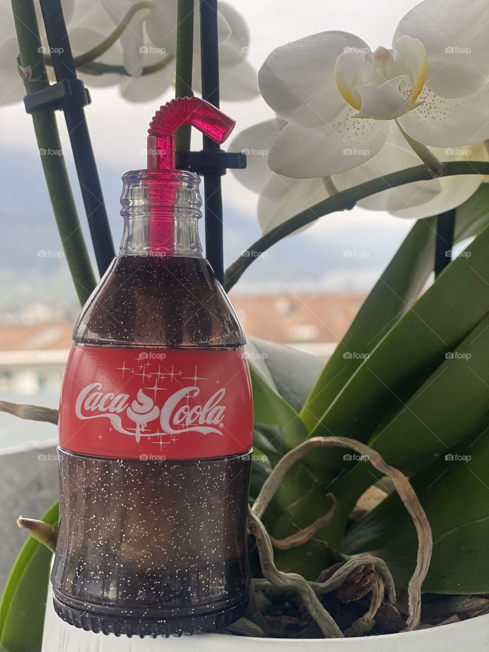 Coca-Cola 