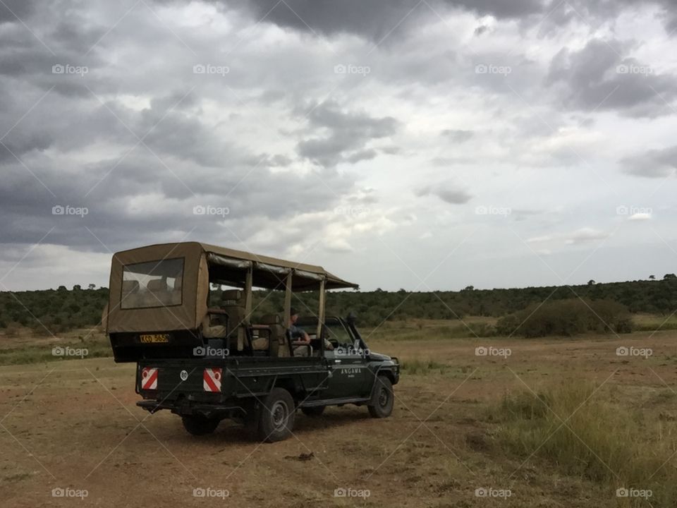 Kenya safari 