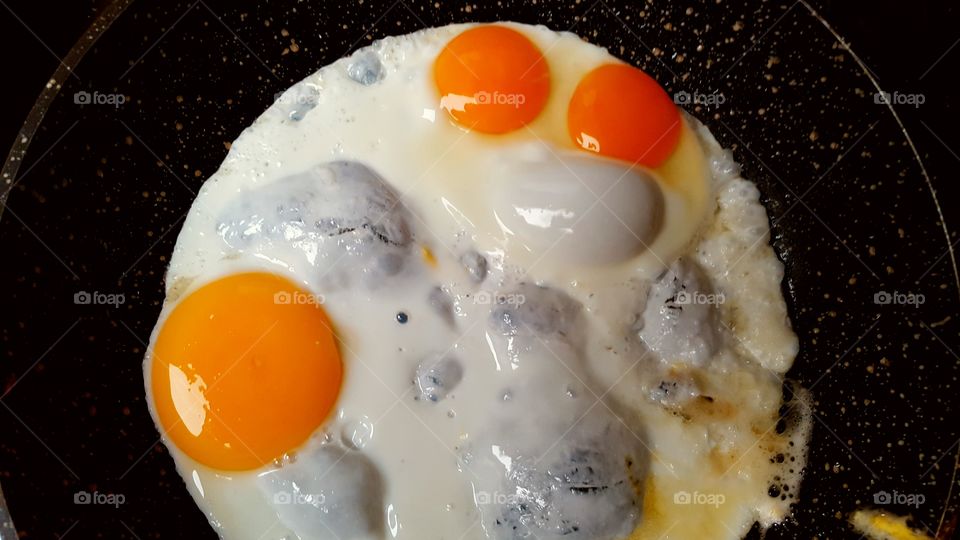 twin yolks