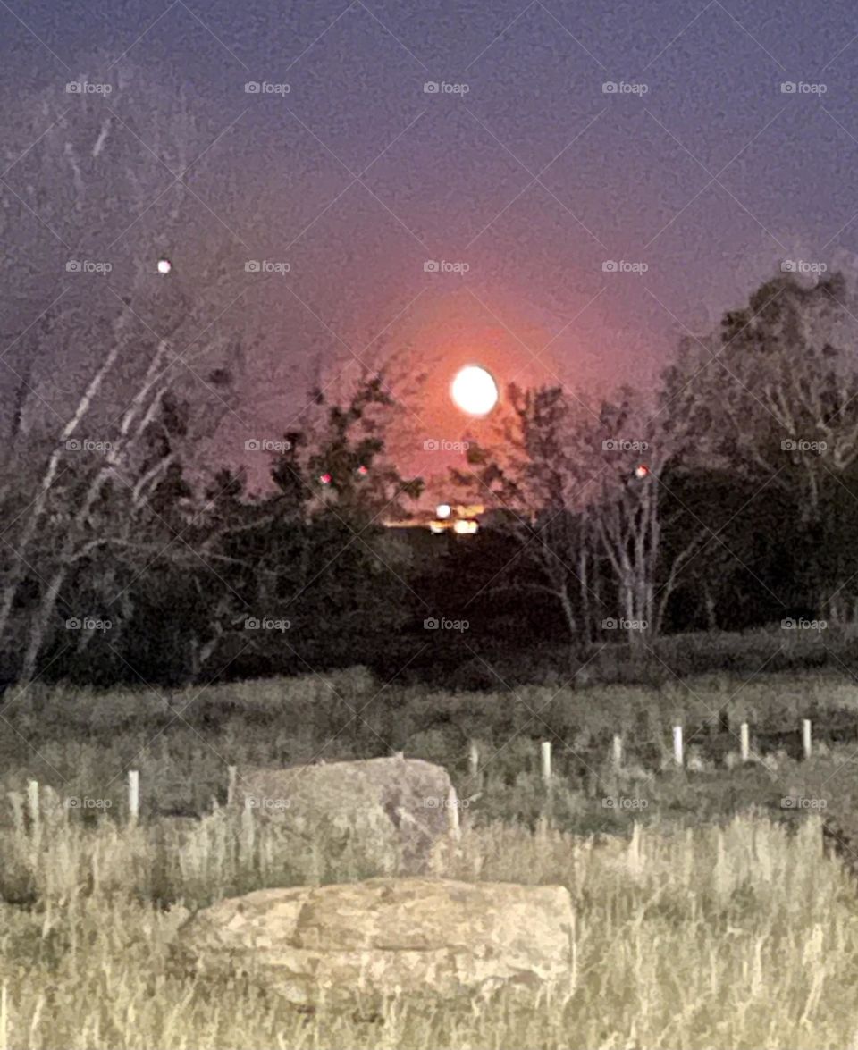 Red harvest full moon