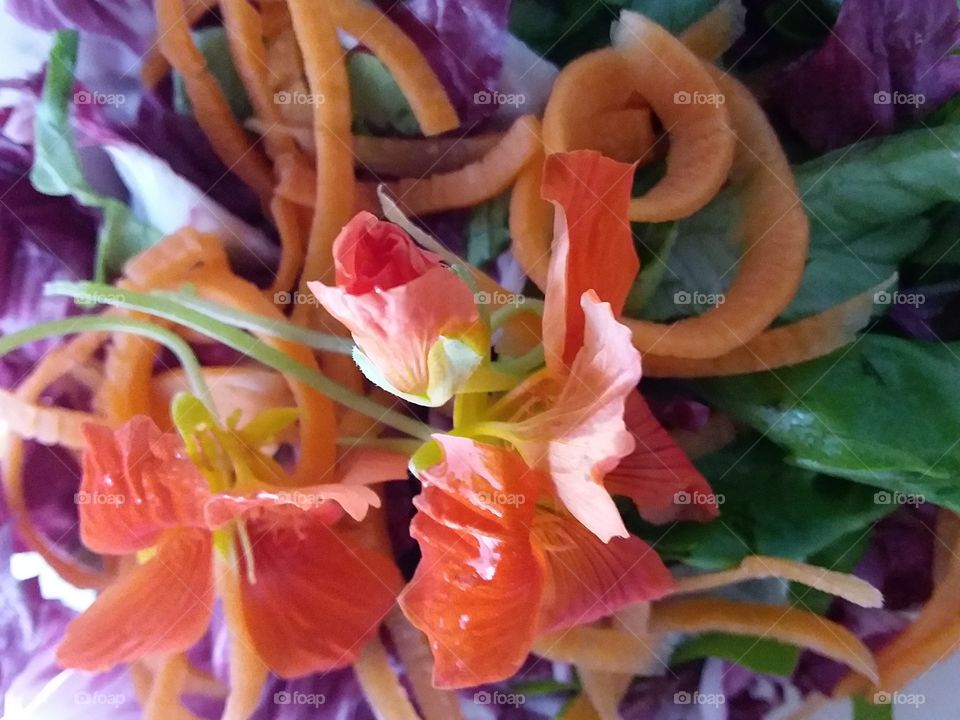 Insalatina e fiori