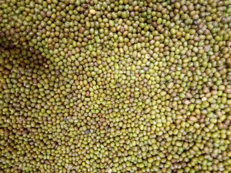 Vigna radiata pulse ( moong daal )