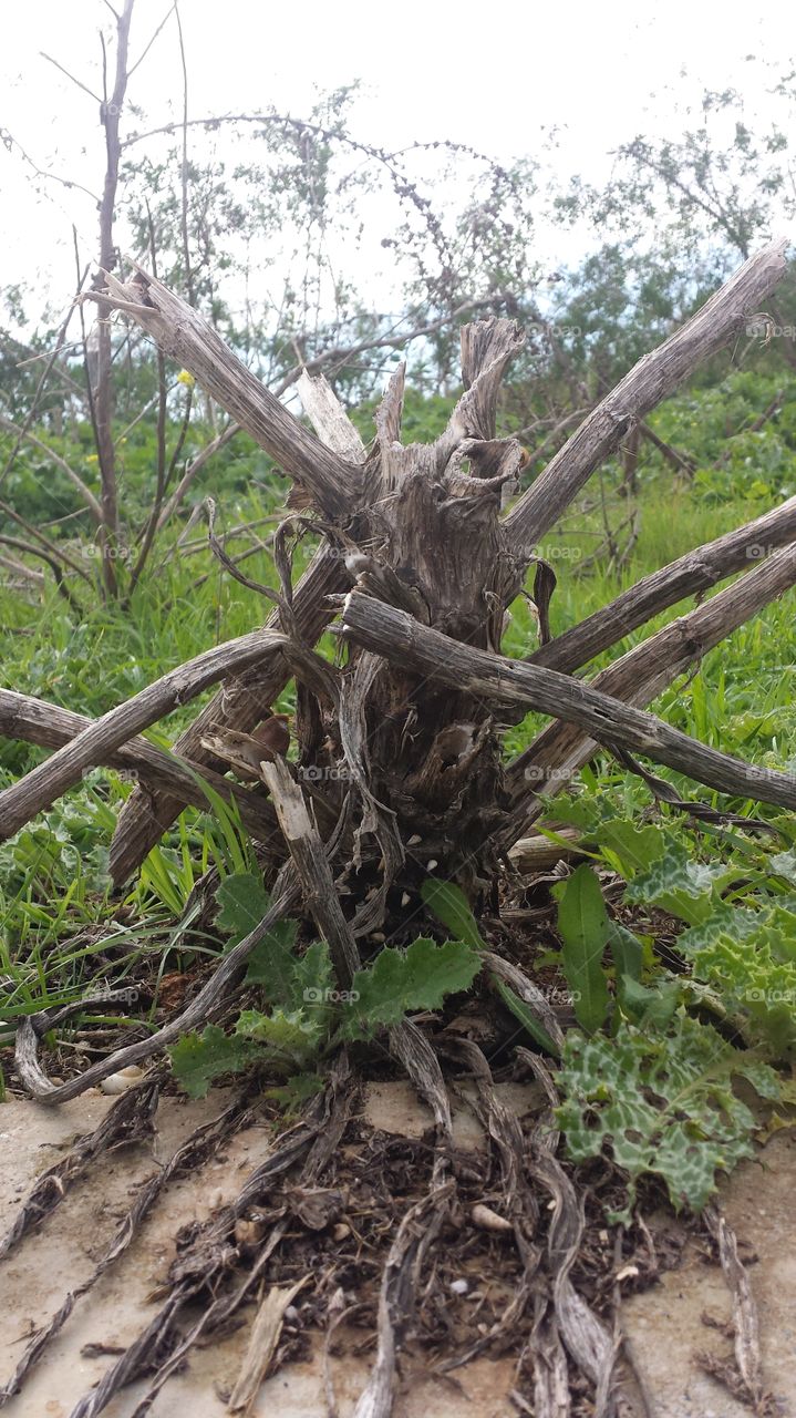 summer its baCk 💪😇