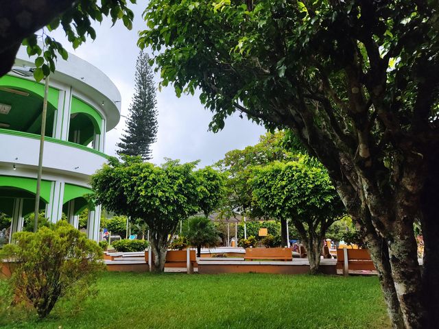 Muchos colores en la plaza del pueblo 🌳🌲
