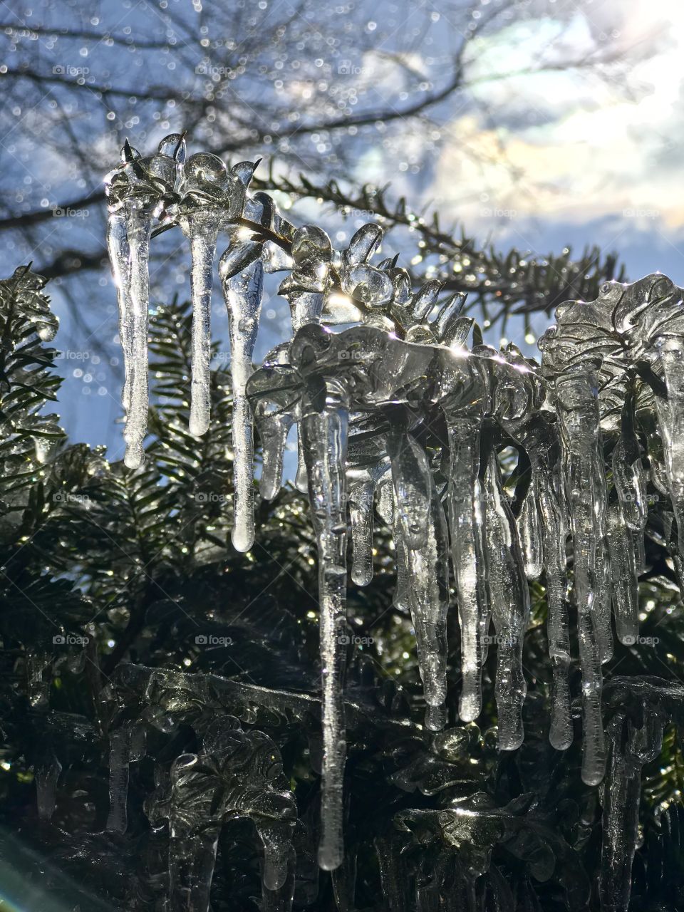 Frozen drips