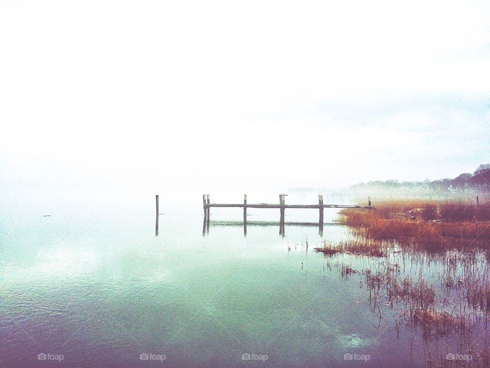 Foggy Harbour 