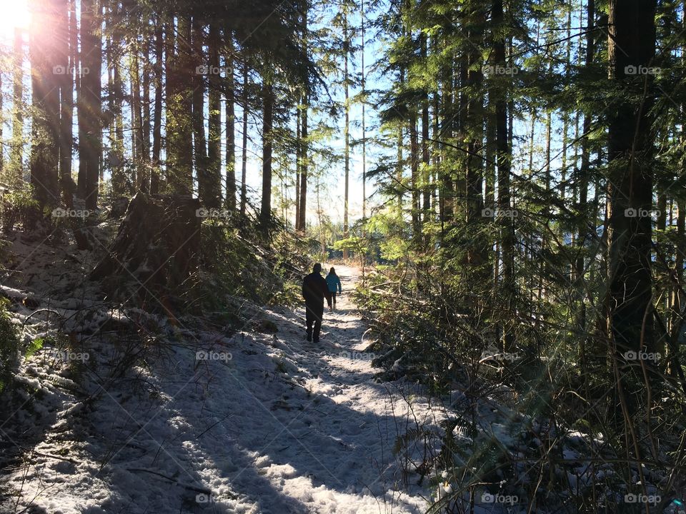 Hiking out of the woods in winter 