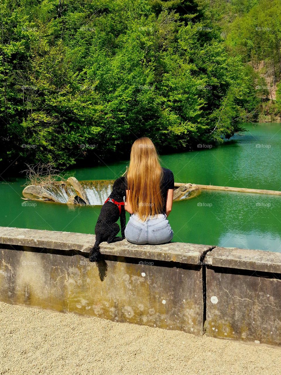 the girl with the dog admiring the beauty of Lake Vida