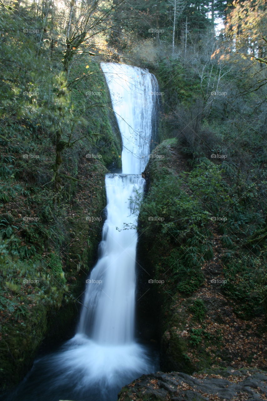 Bridal Veil Falls, outside Portland, Oregon.