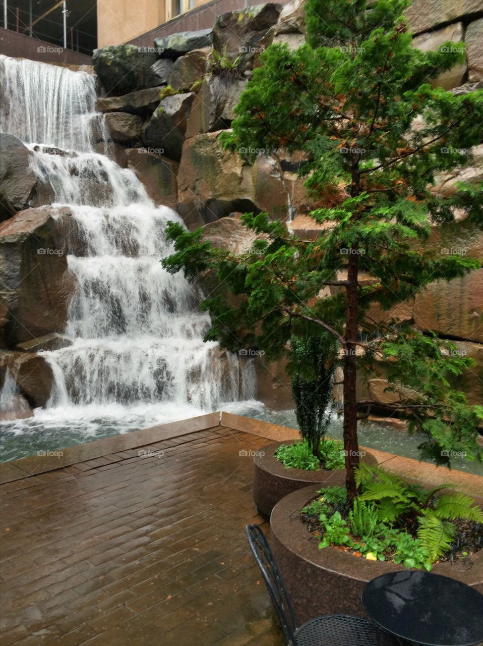 "Waterfall Garden"
