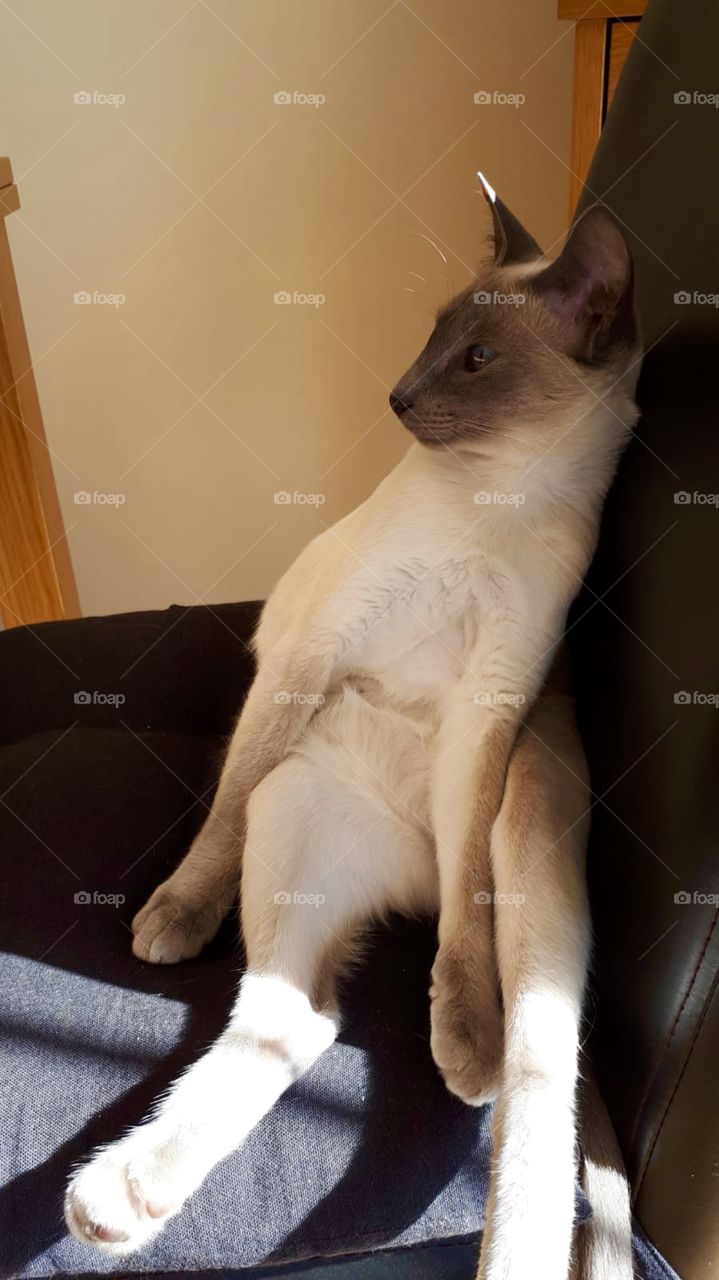 “What you eating mum ? 😋