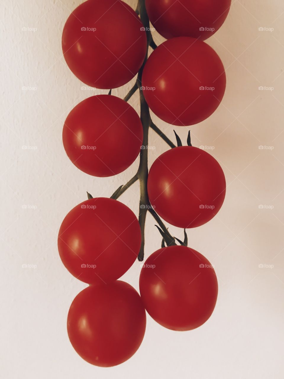 Tomatoes