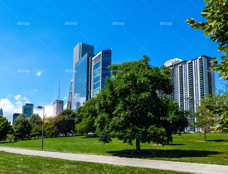 Wall Of Buildings 