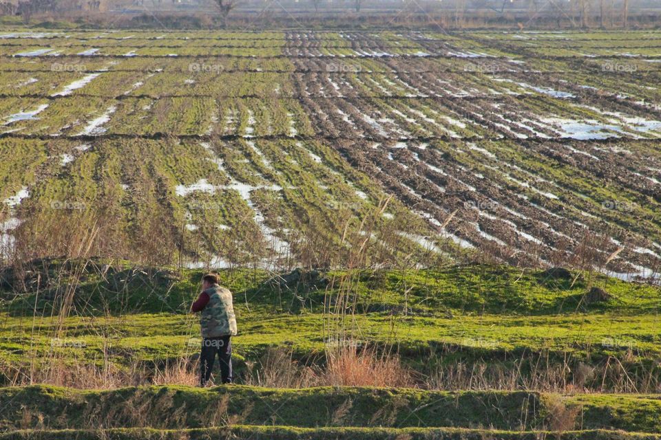 my uncle decides on his plot in the spring what to plant and looks to see how soon the water will leave the ground