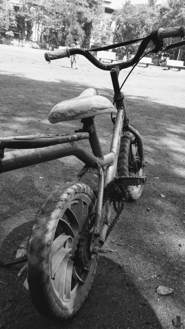 Old Bicycle