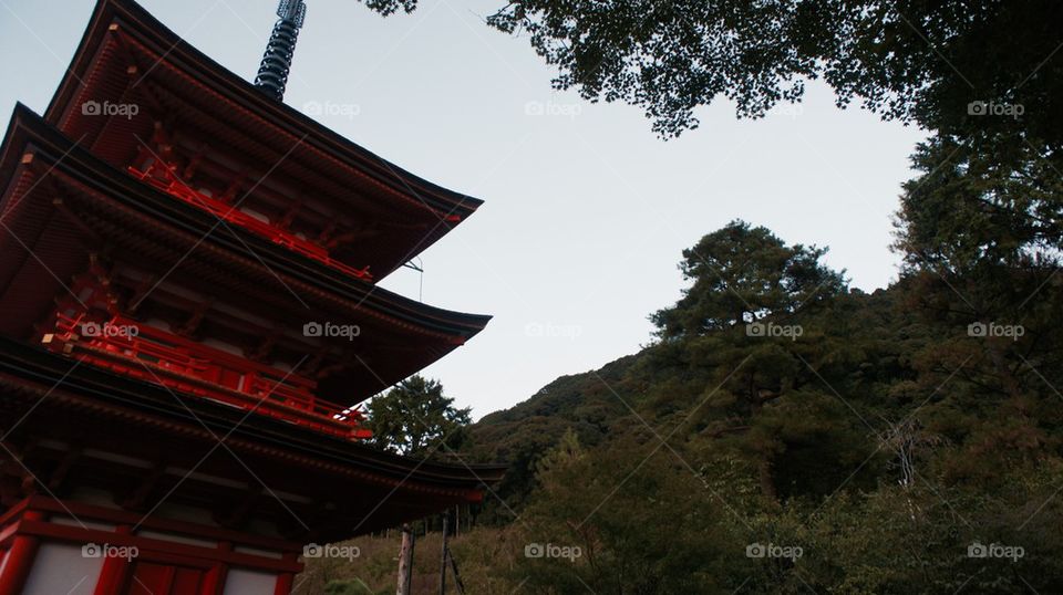 Shrine for Girls Kiyomizu 