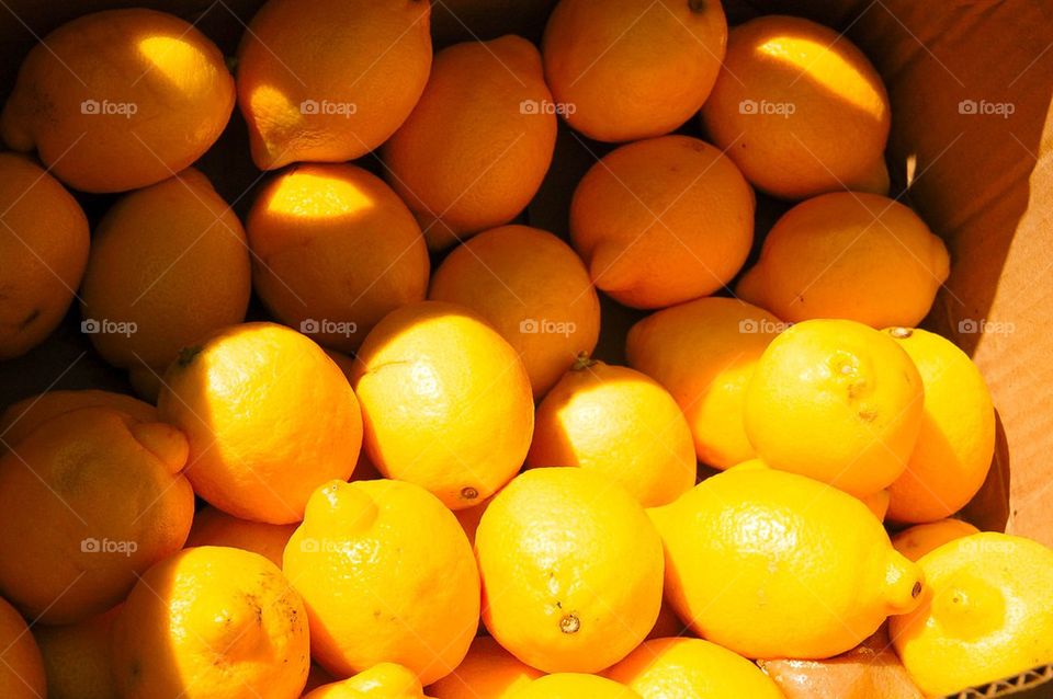 Lemons for Sale