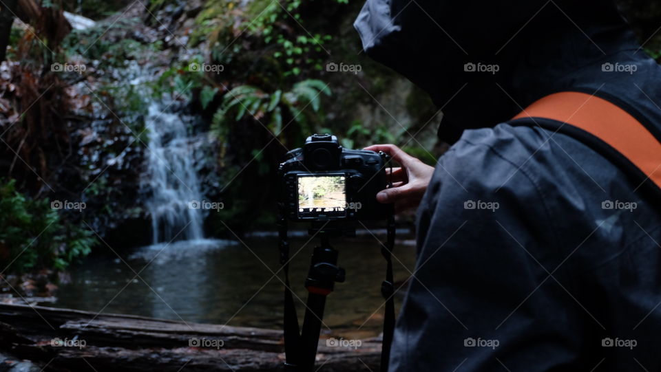 Photographer capturing nature's beauty on camera