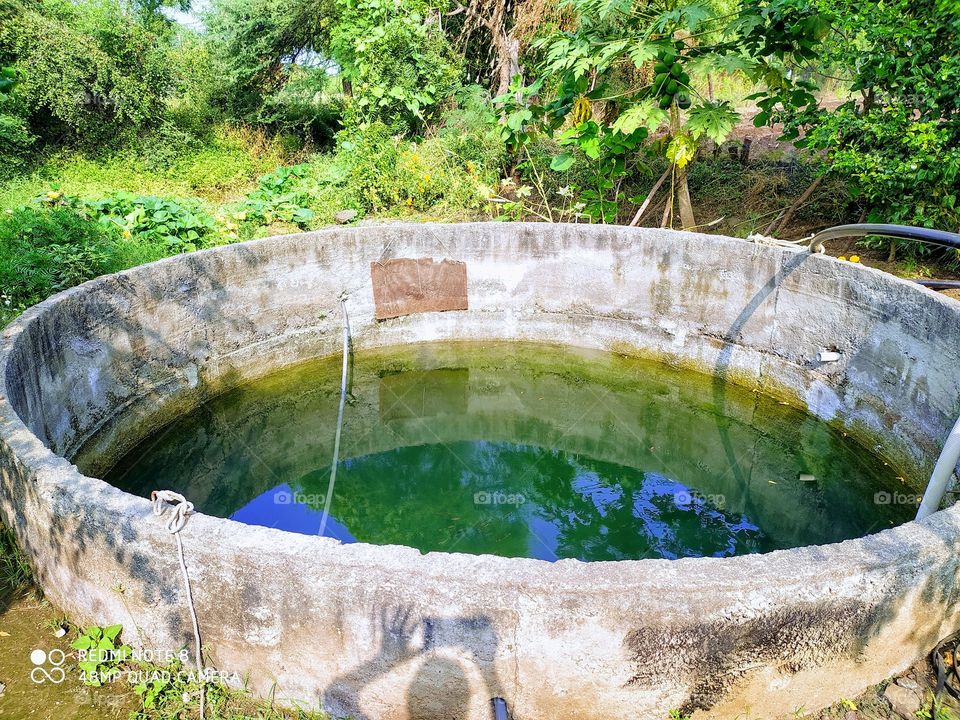 well sarrounded by green nature