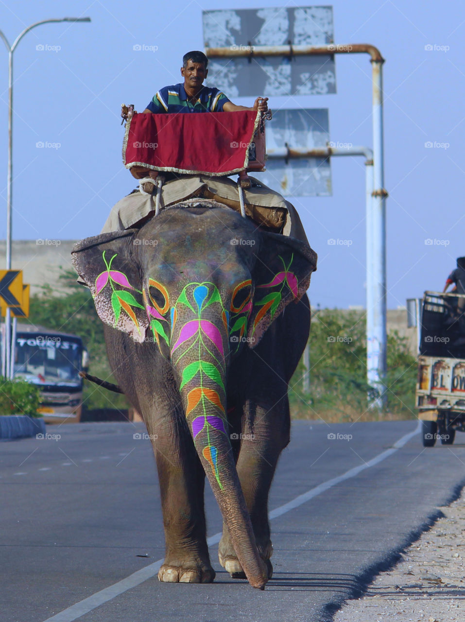 our elephant driver going to home