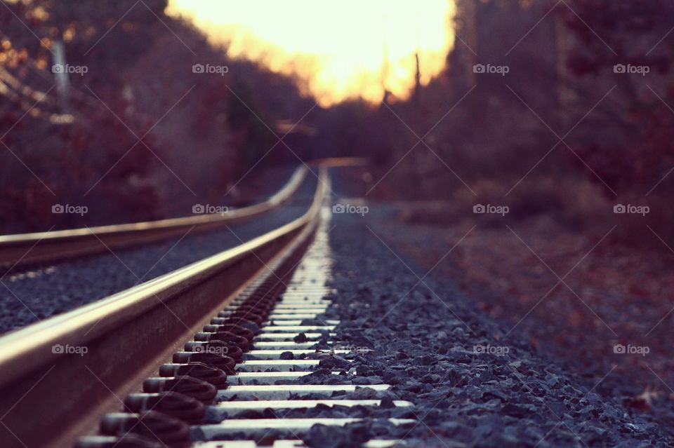 View of empty road in forest