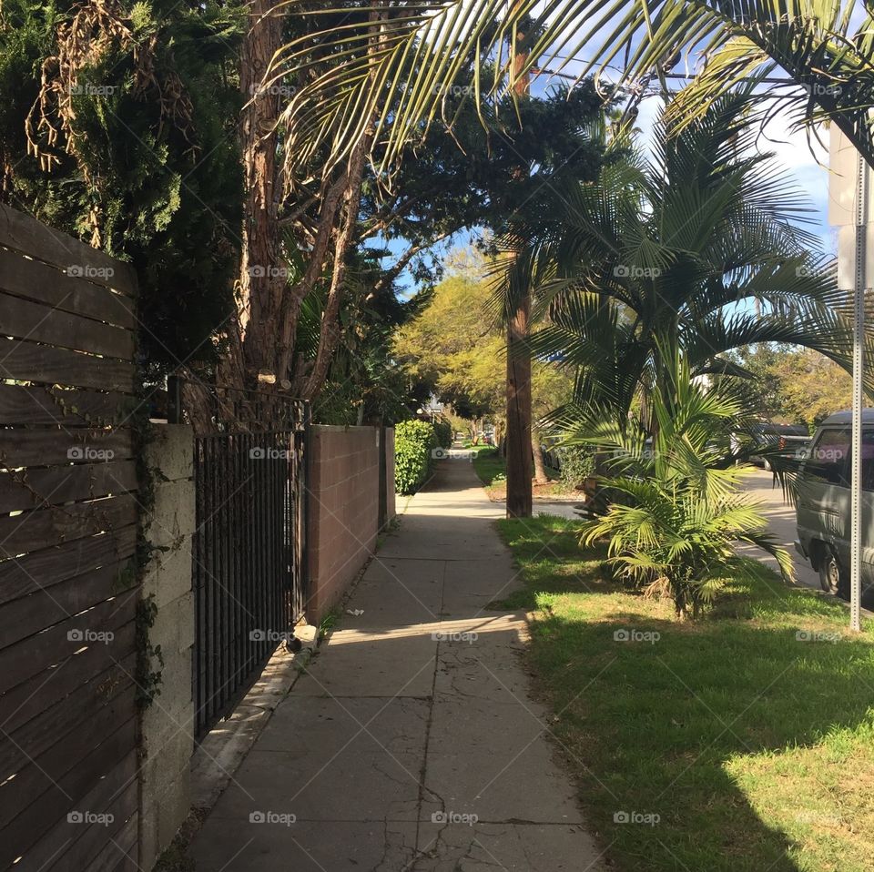 Neighborhood Venice Beach. I was walking around, on my way to Venice Beach, CA when I happened upon this pretty place!