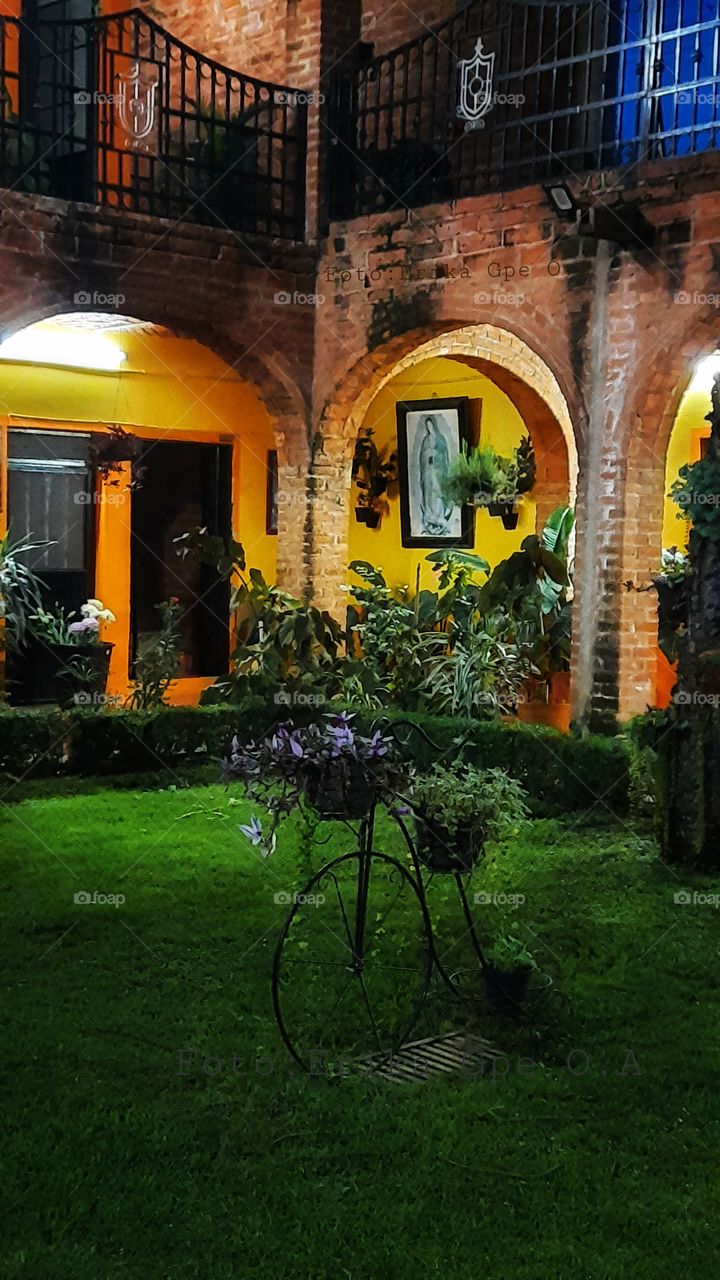 bicycle  whit purple  flower,bicycle,purple,flower,garden,nature,reflection,landscape,virgin,religión,virgin Guadalupe