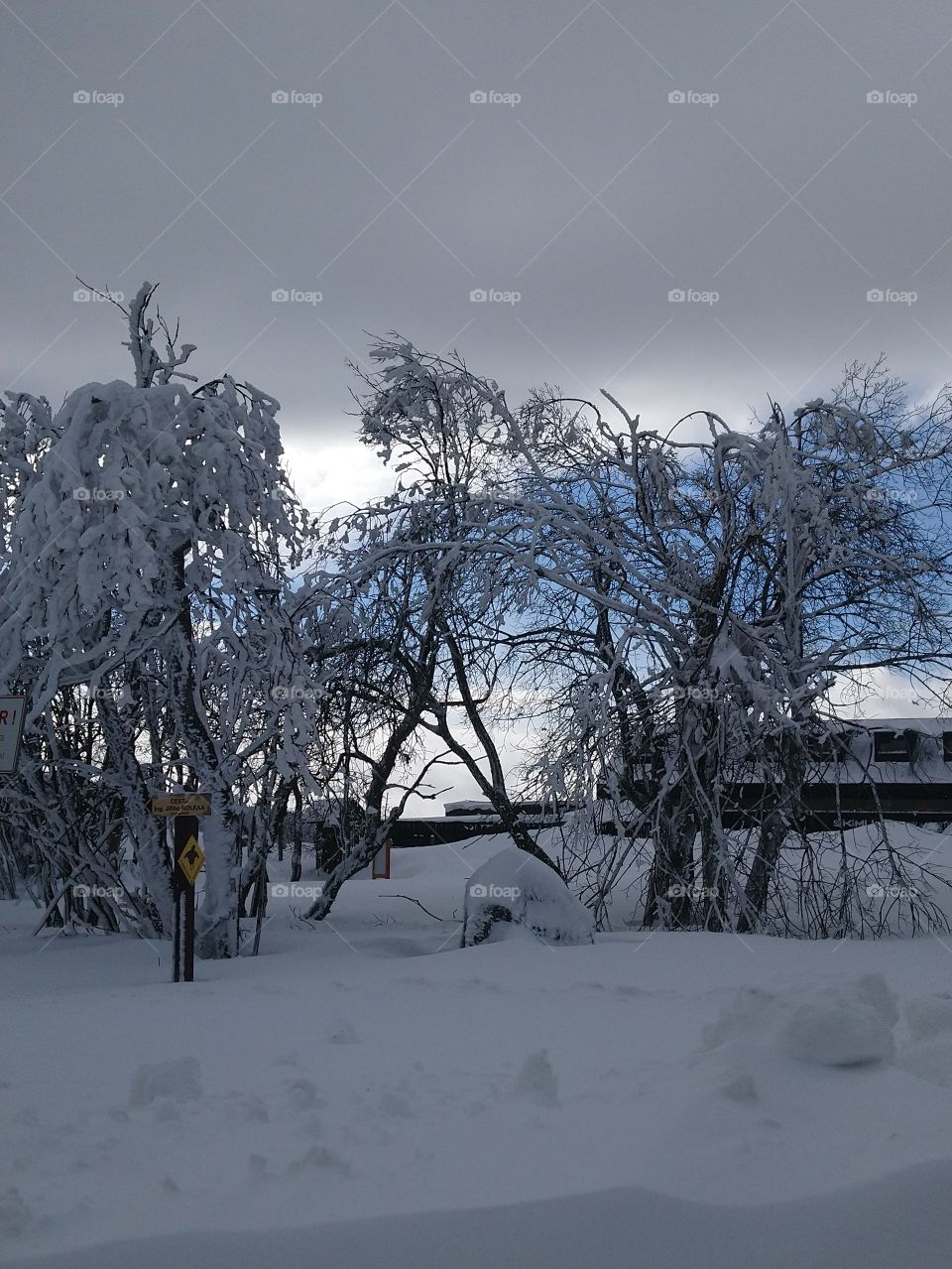 Winter in polish mountain