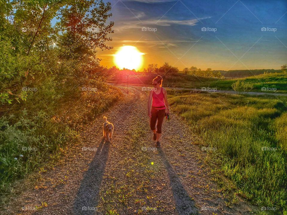 walking a puppy at sunset