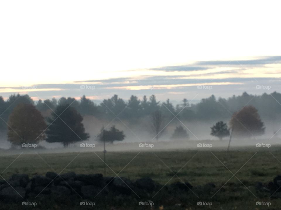 Morning mist
