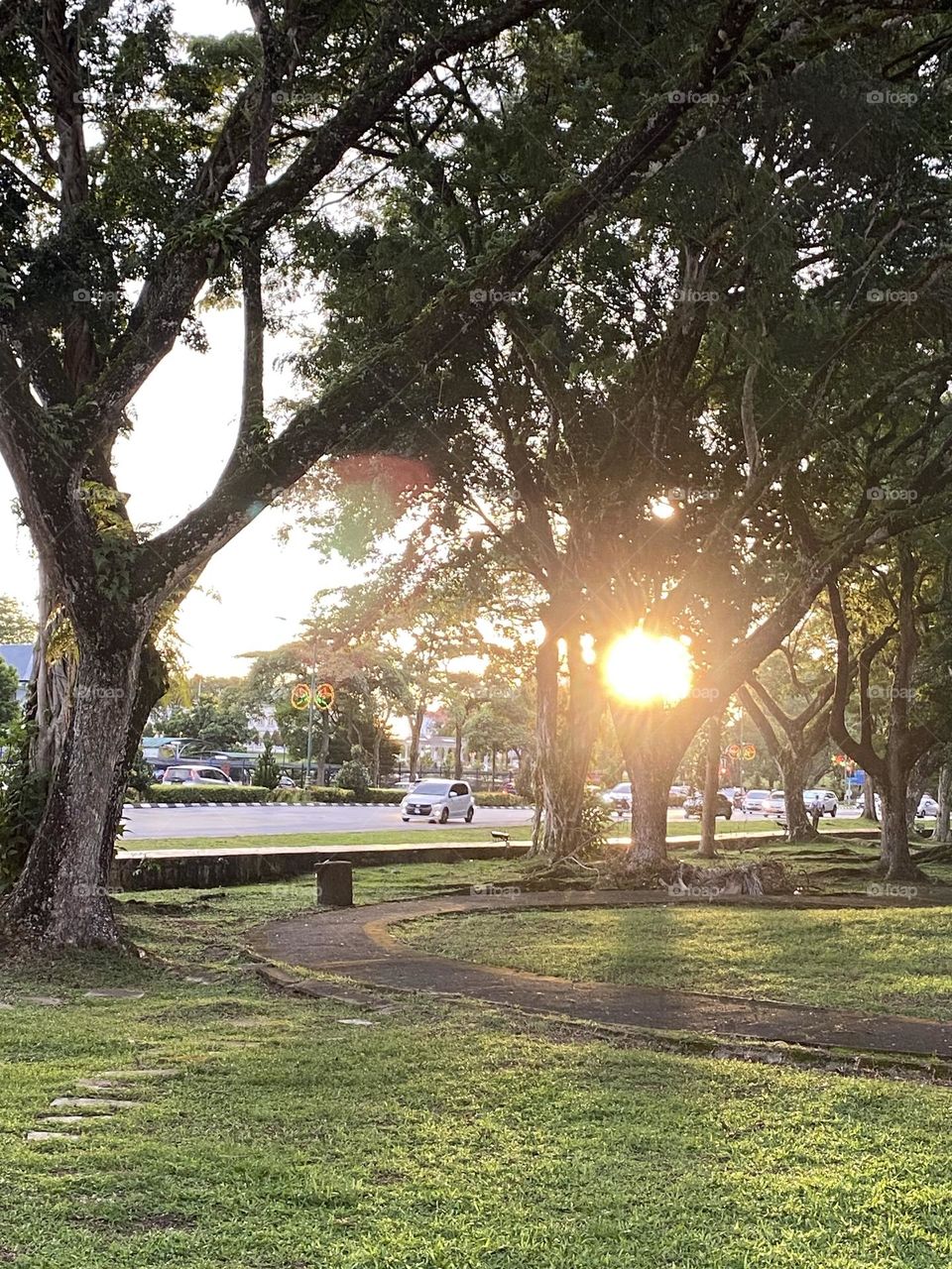 Sunrise in the garden 