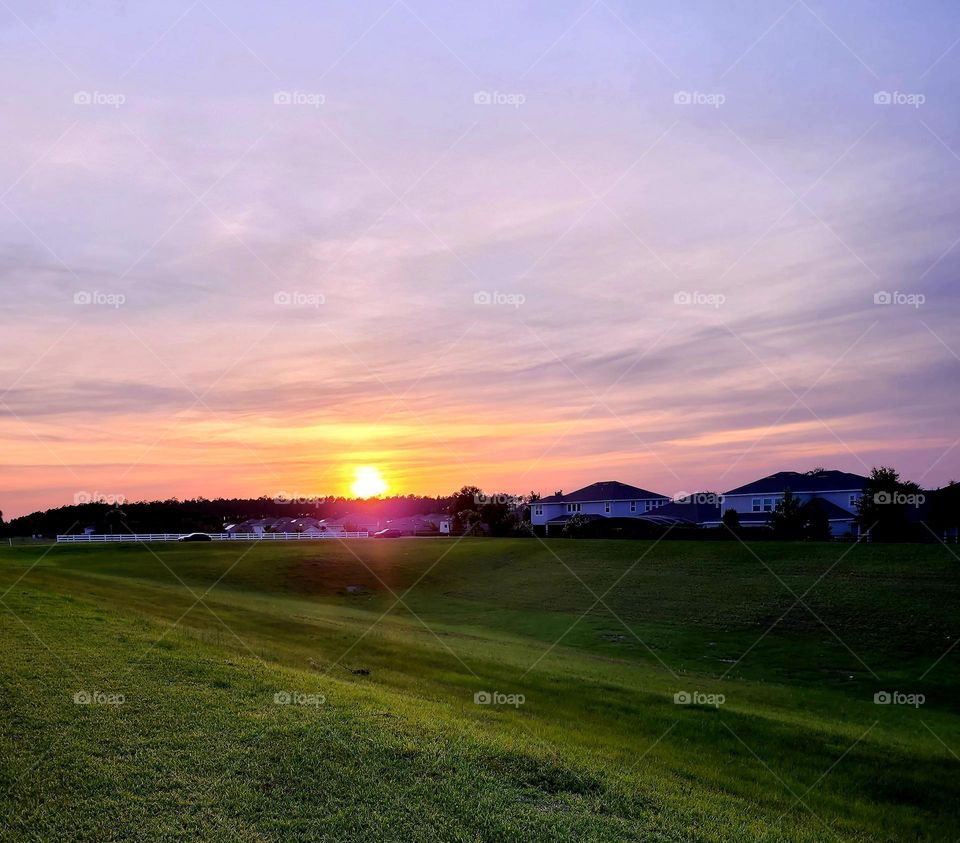Relaxing Day in the Back Yard