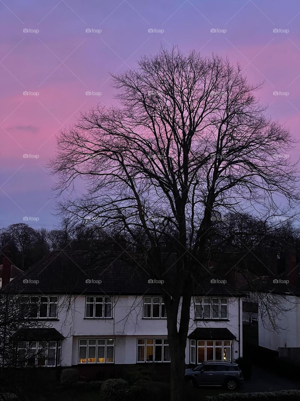 Pink and blue striped sky … Winter evening sunset 