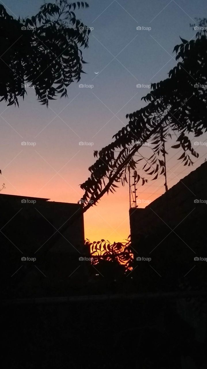 Beautiful Sunset in some place on Earth