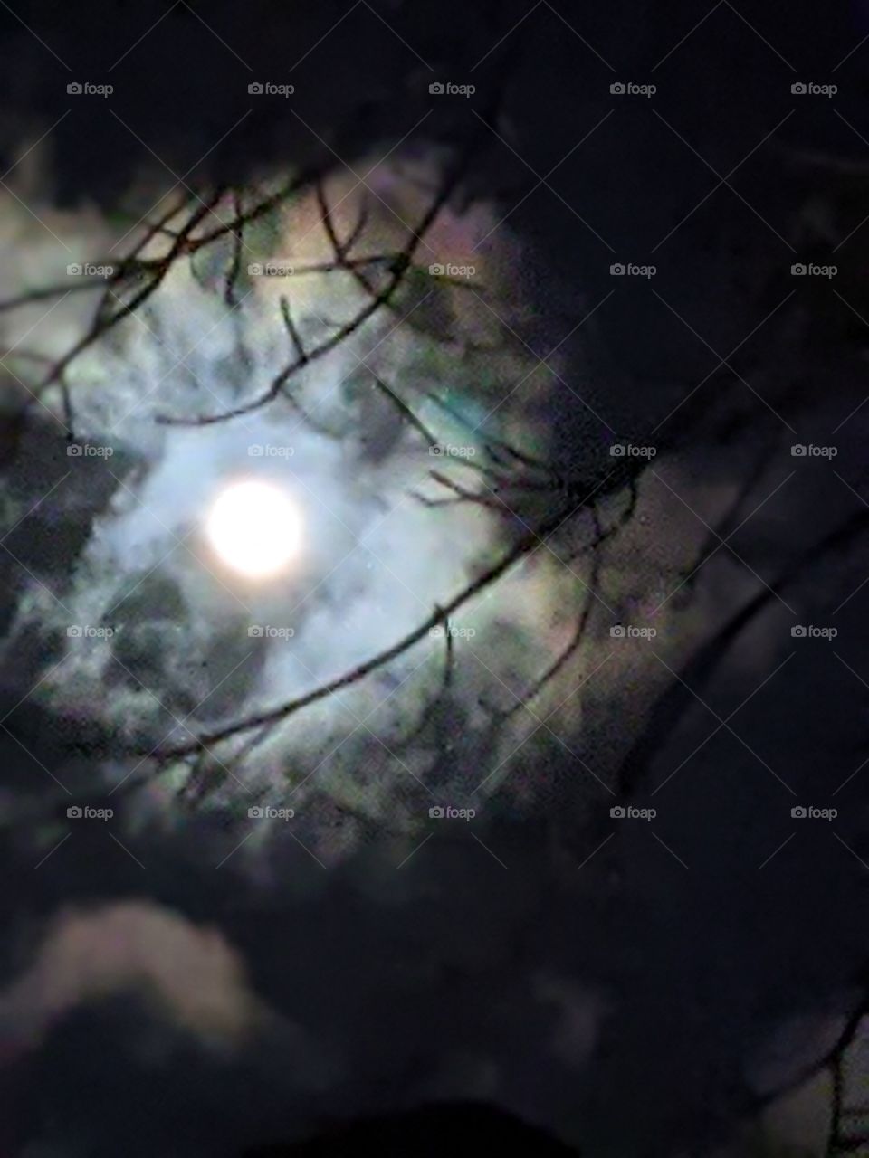 Full moon on Halloween