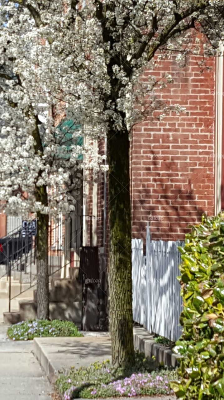 Main Street Smalltown USA