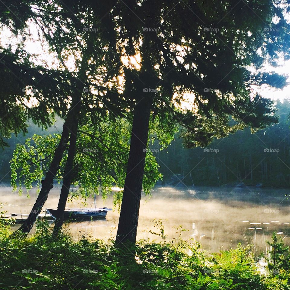 Swedish summer morning sunrise by foggy lake