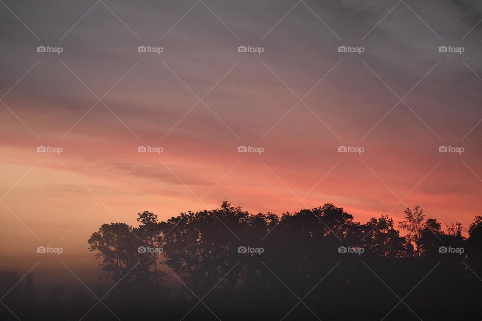 A red sunrise in the fog