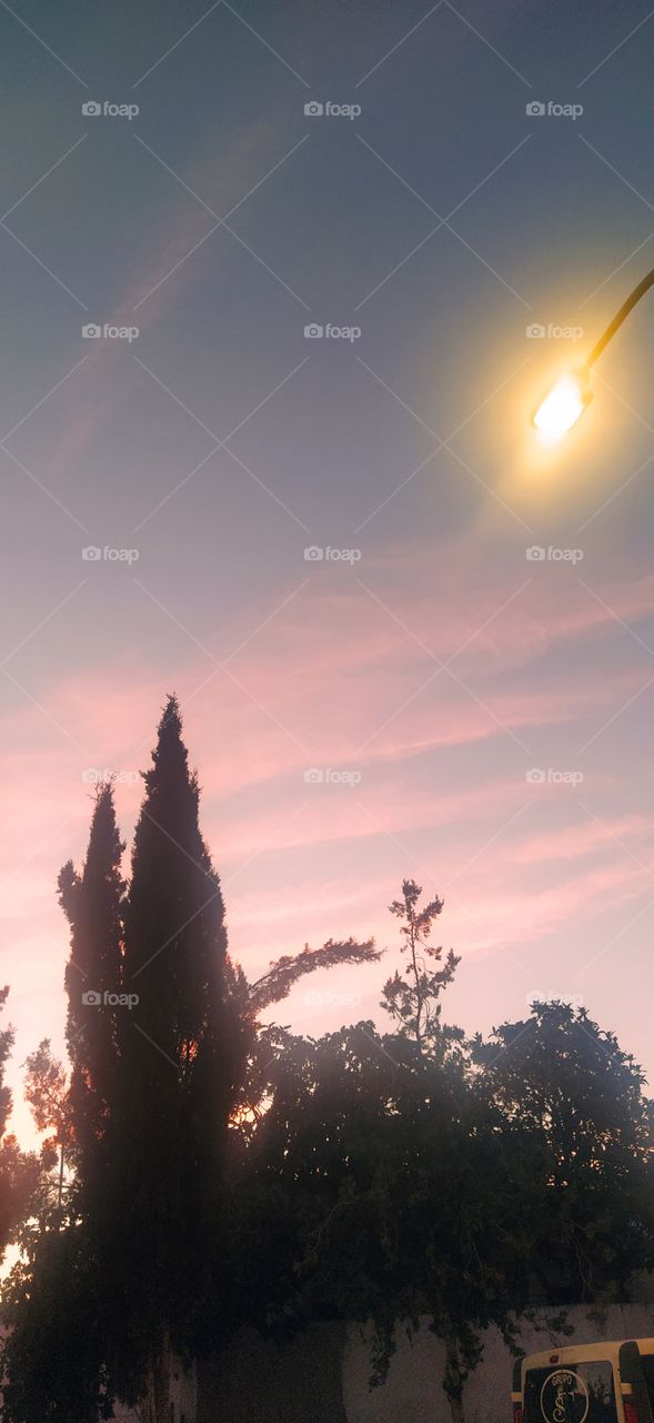 the light magic night