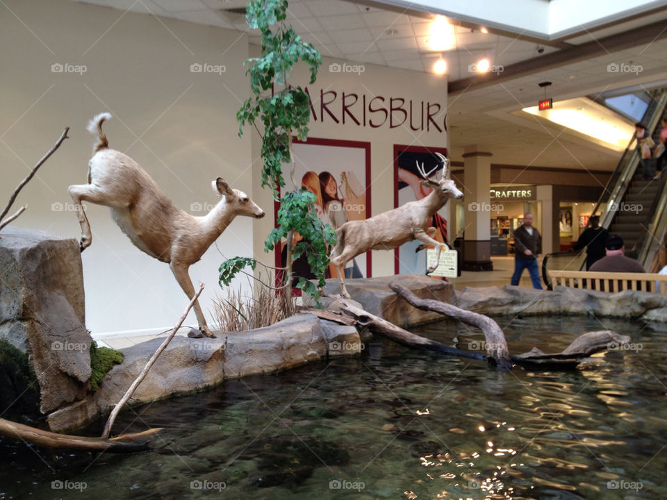 A deer fountain at a mall in Harrisburg, PA