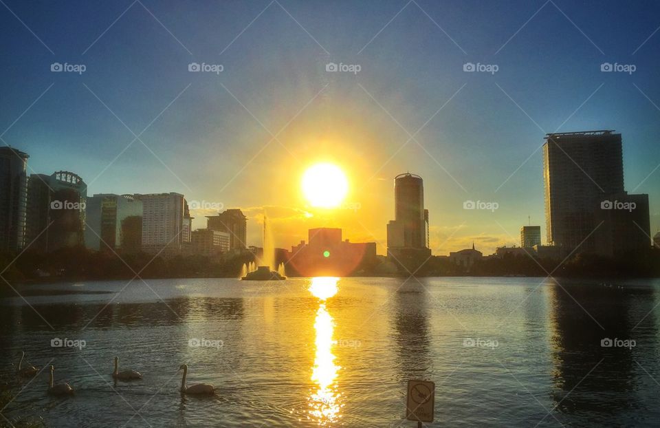 Lake Eola