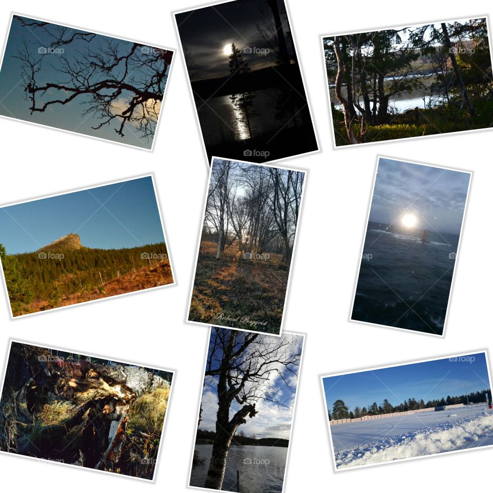 Nature photos in picture frames