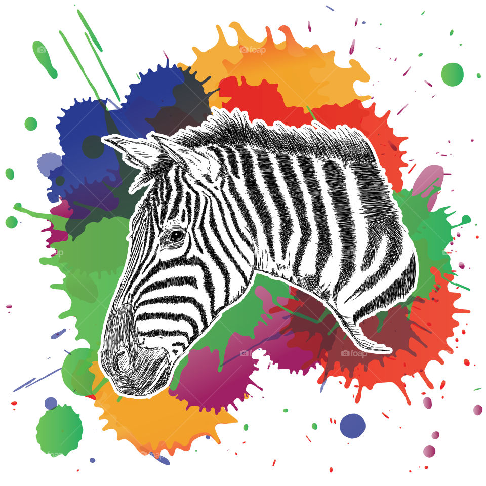 Detailed artistic creative zebra illustration with colorful splashes