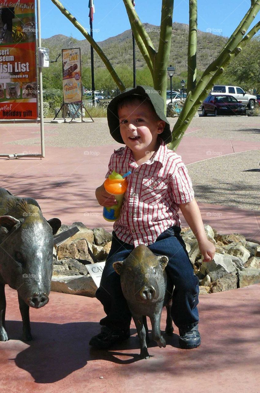 Riding javalina