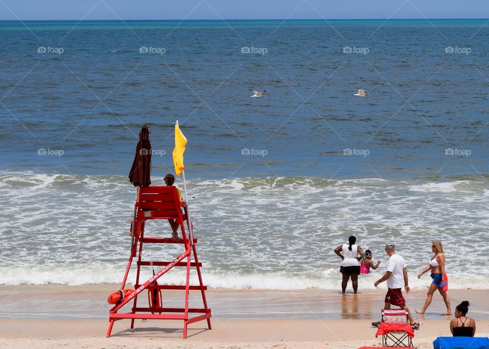 Early Summer Swimming