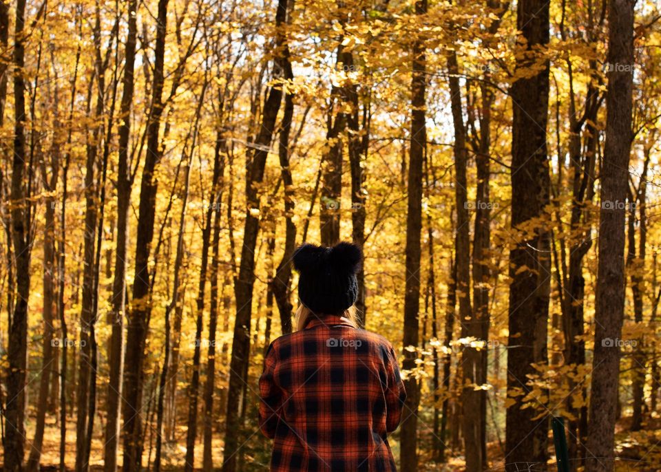 Woman in plaid standing among a forest of golden leafed tree; Color