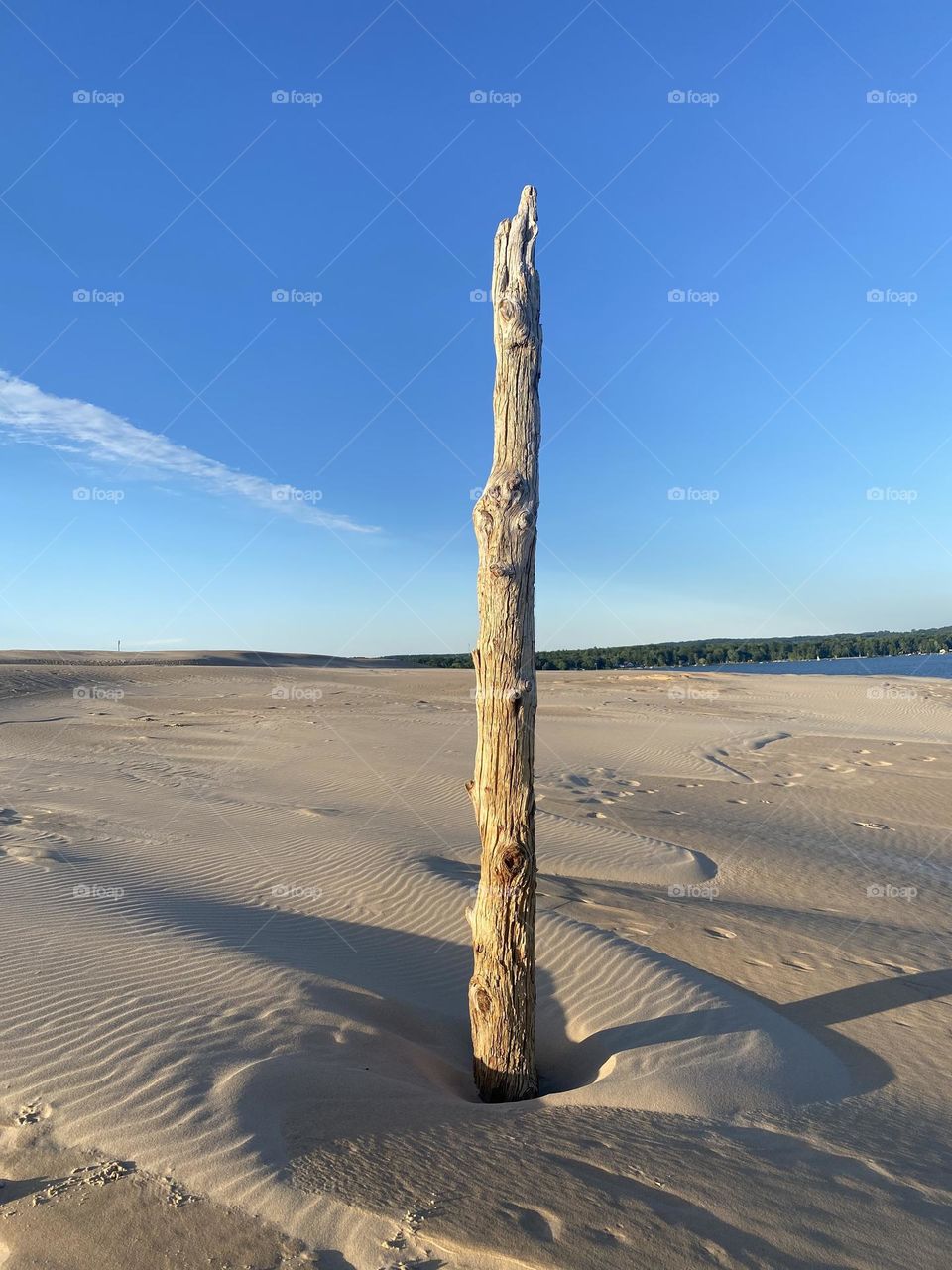 The image shows a single, weathered wooden post standing upright in a sandy landscape. The sky is clear and blue, with a small cloud on the left. In the distance, there is a line of trees and a body of water. The scene is bathed in sunlight. 