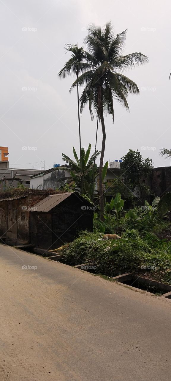 The tree does not stand properly.