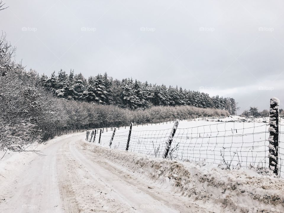 Snow, Winter, Landscape, No Person, Nature