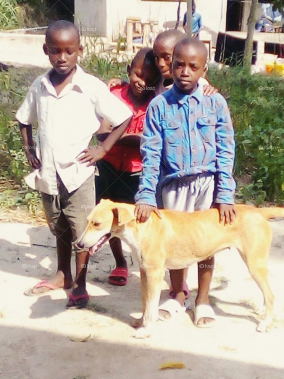 Children enjoying with dog